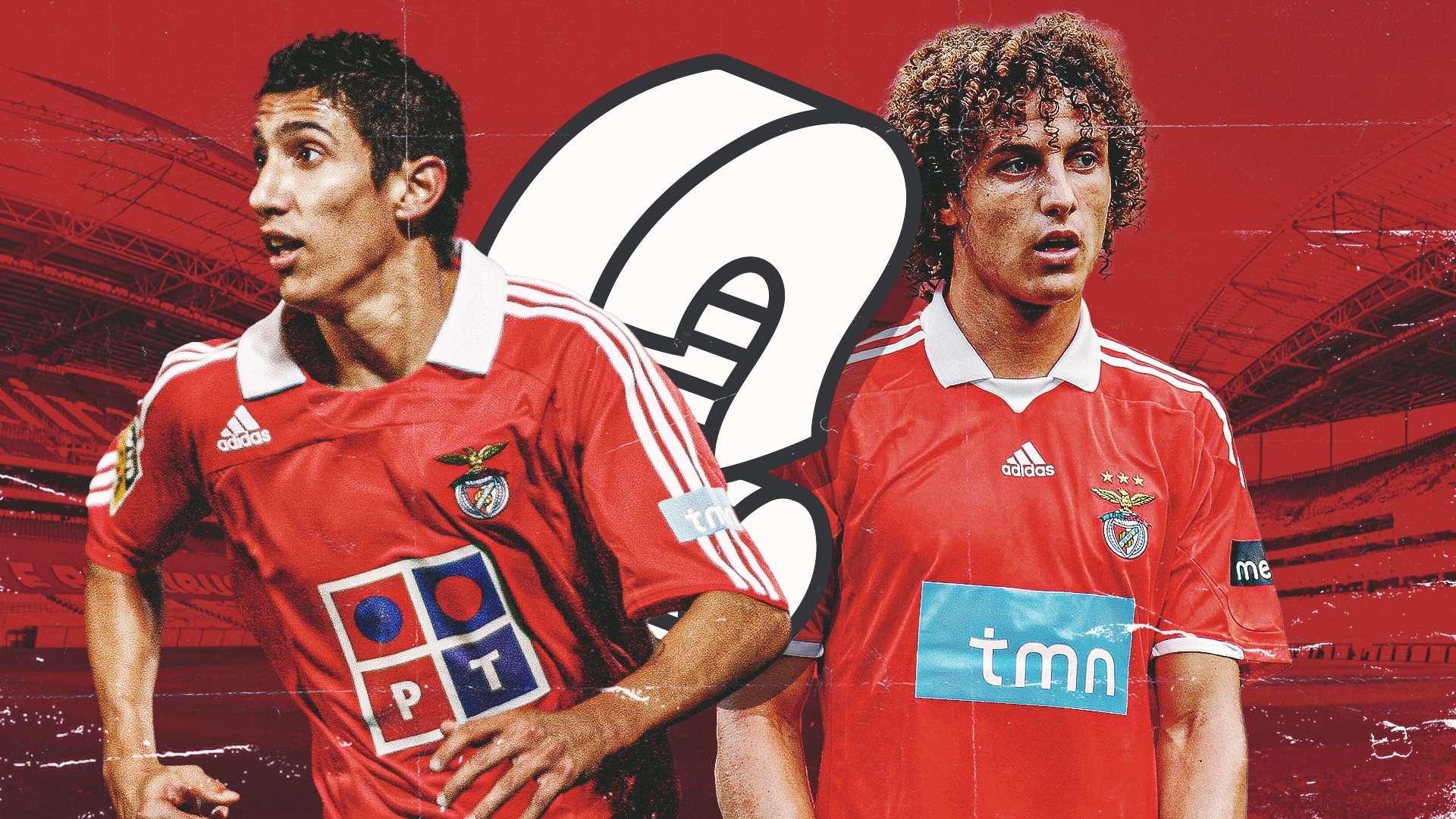 形成了强大 形成了强大